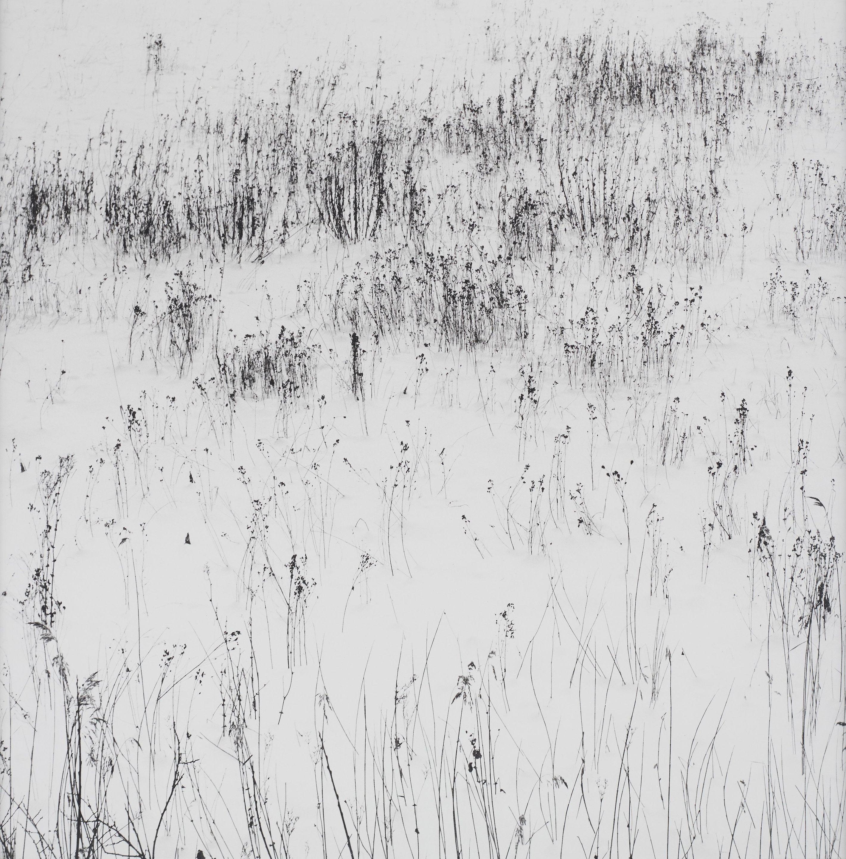 Gunnar Smoliansky - \