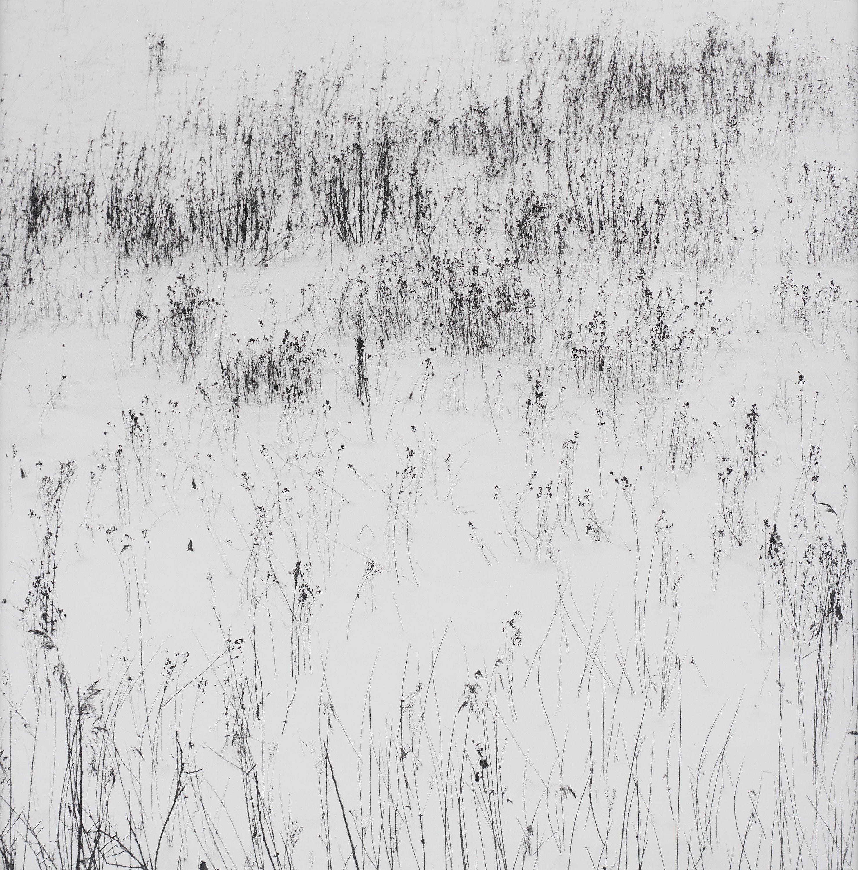 Gunnar Smoliansky - \