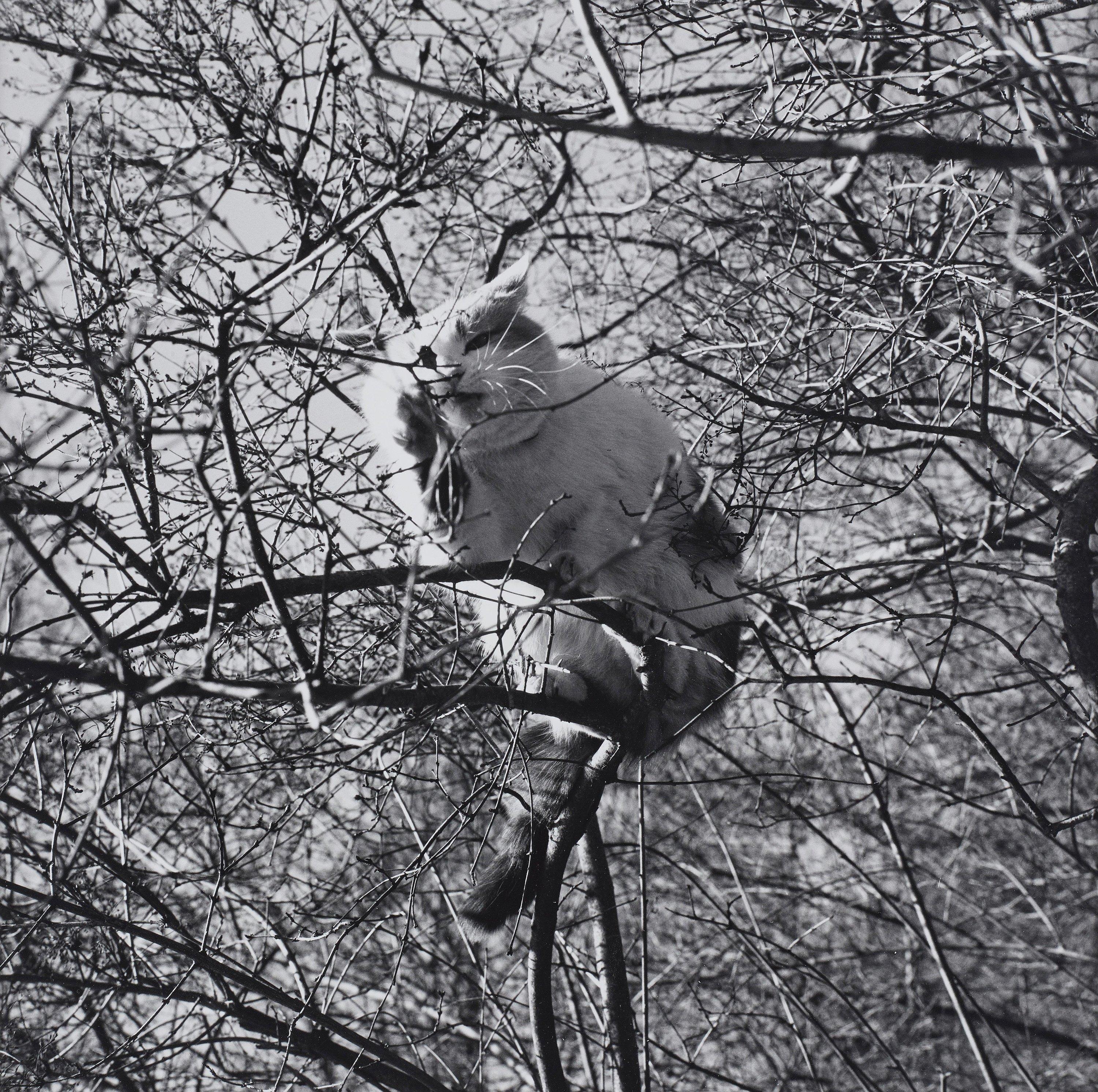 Gunnar Smoliansky - Utan titel, 2013