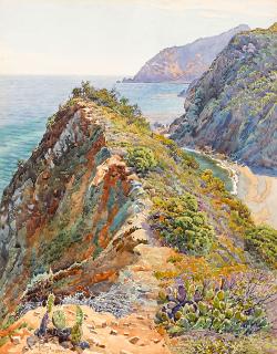 Gunnar Widforss - Catalina Island