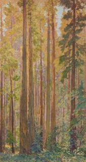 Gunnar Widforss - Redwood Trees
