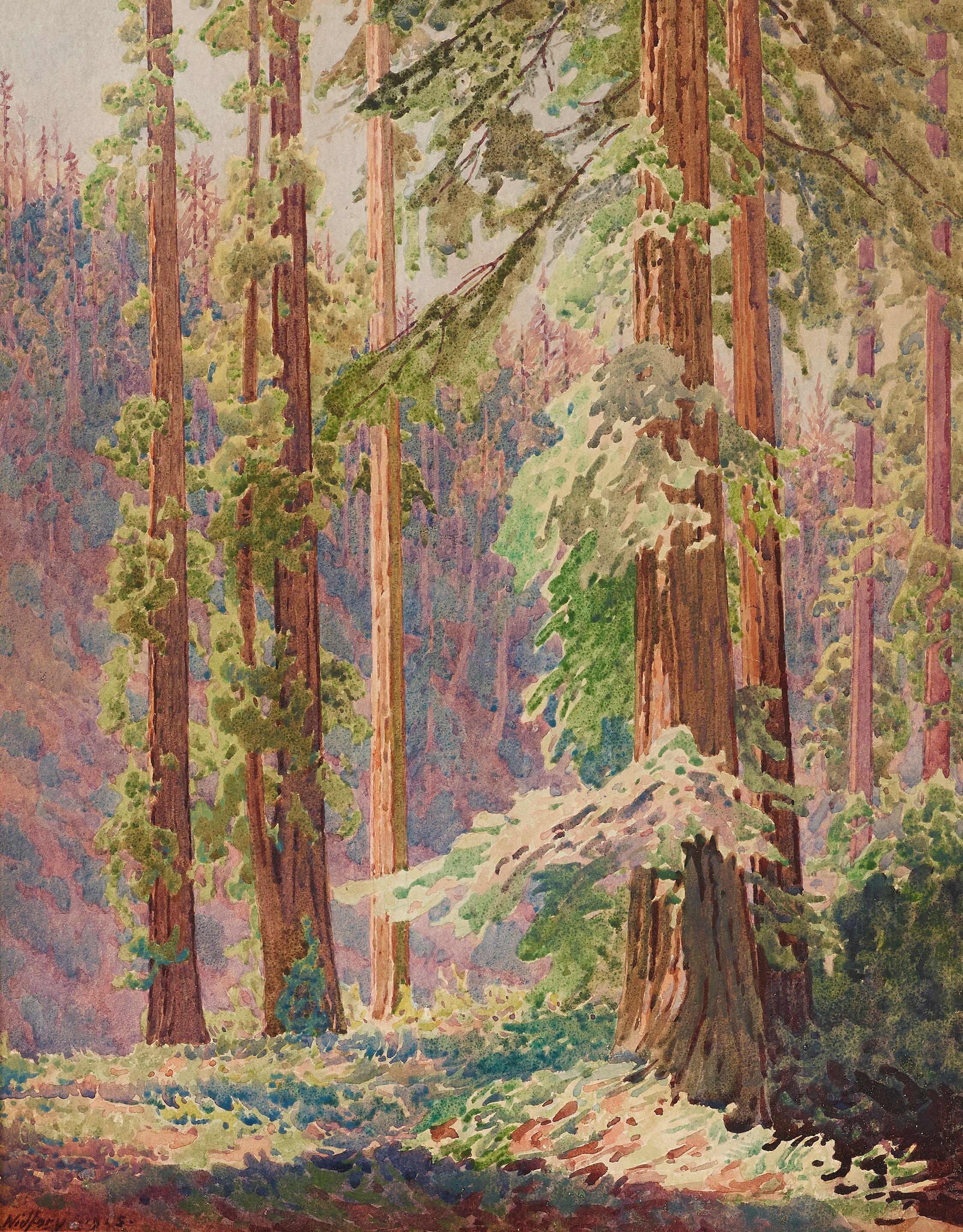 Gunnar Widforss - Redwoods