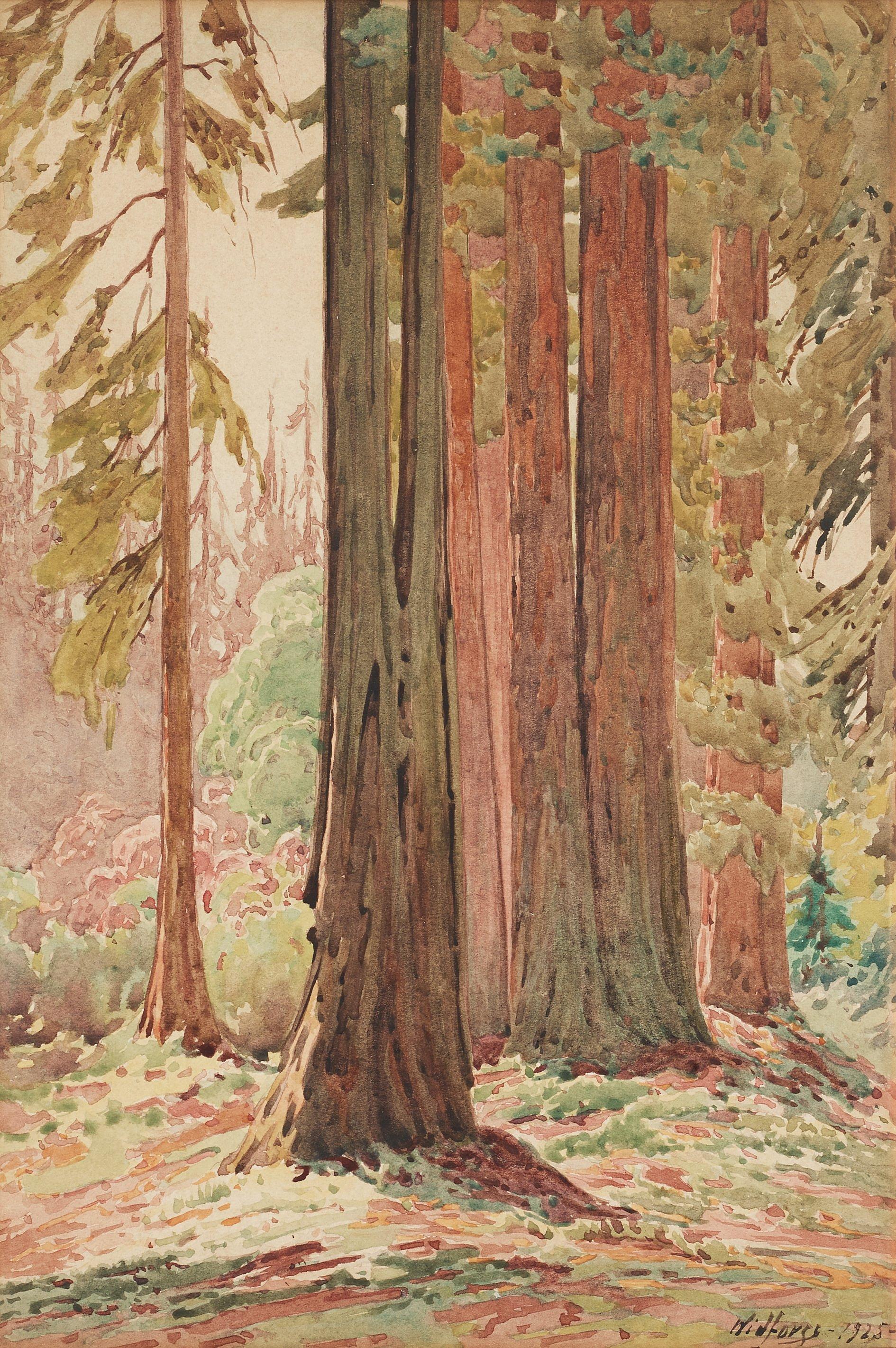 Gunnar Widforss - Trees, Yosemite Valley