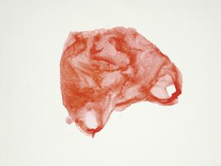 Guo Hongwei - Red Plastic Bag No. 2
