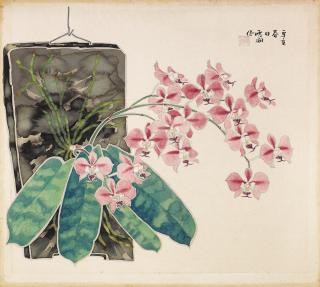 Guo Xuehu - Moth Orchid