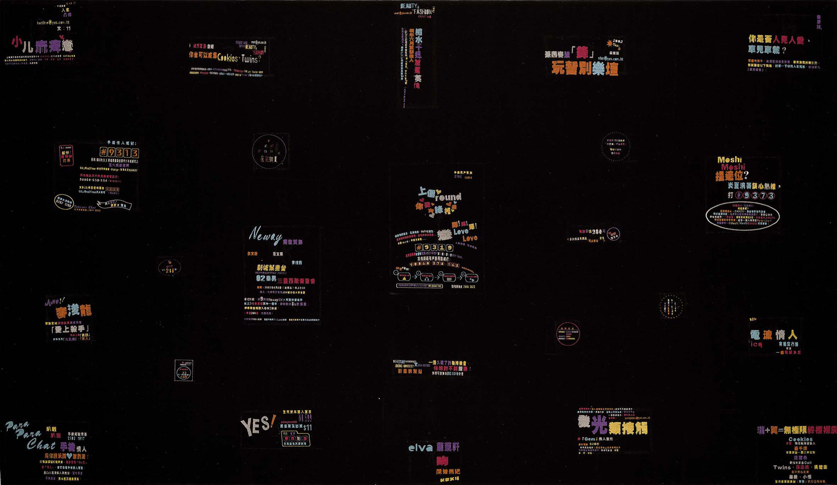 Guogu Zheng - Computer Controlled by Pig\'s Brain No. 27