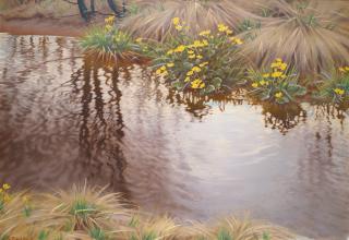 Gustaf Fjaestad - Swedish Buttercups