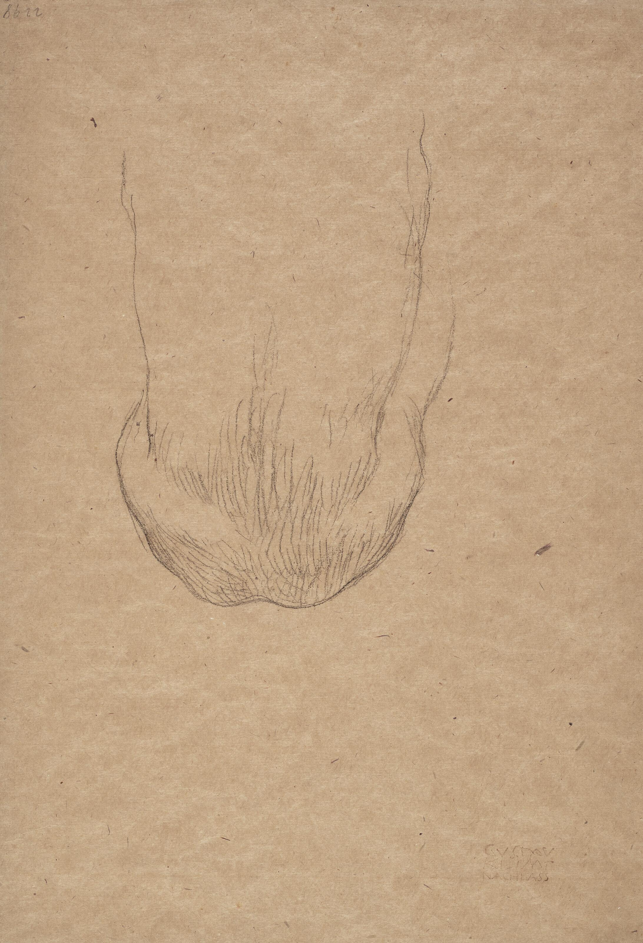 Gustav Klimt - Sitzender männlicher Rückenakt