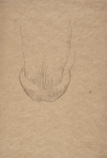 Gustav Klimt - Sitzender männlicher Rückenakt