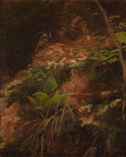 Gustav Klimt - Waldboden.