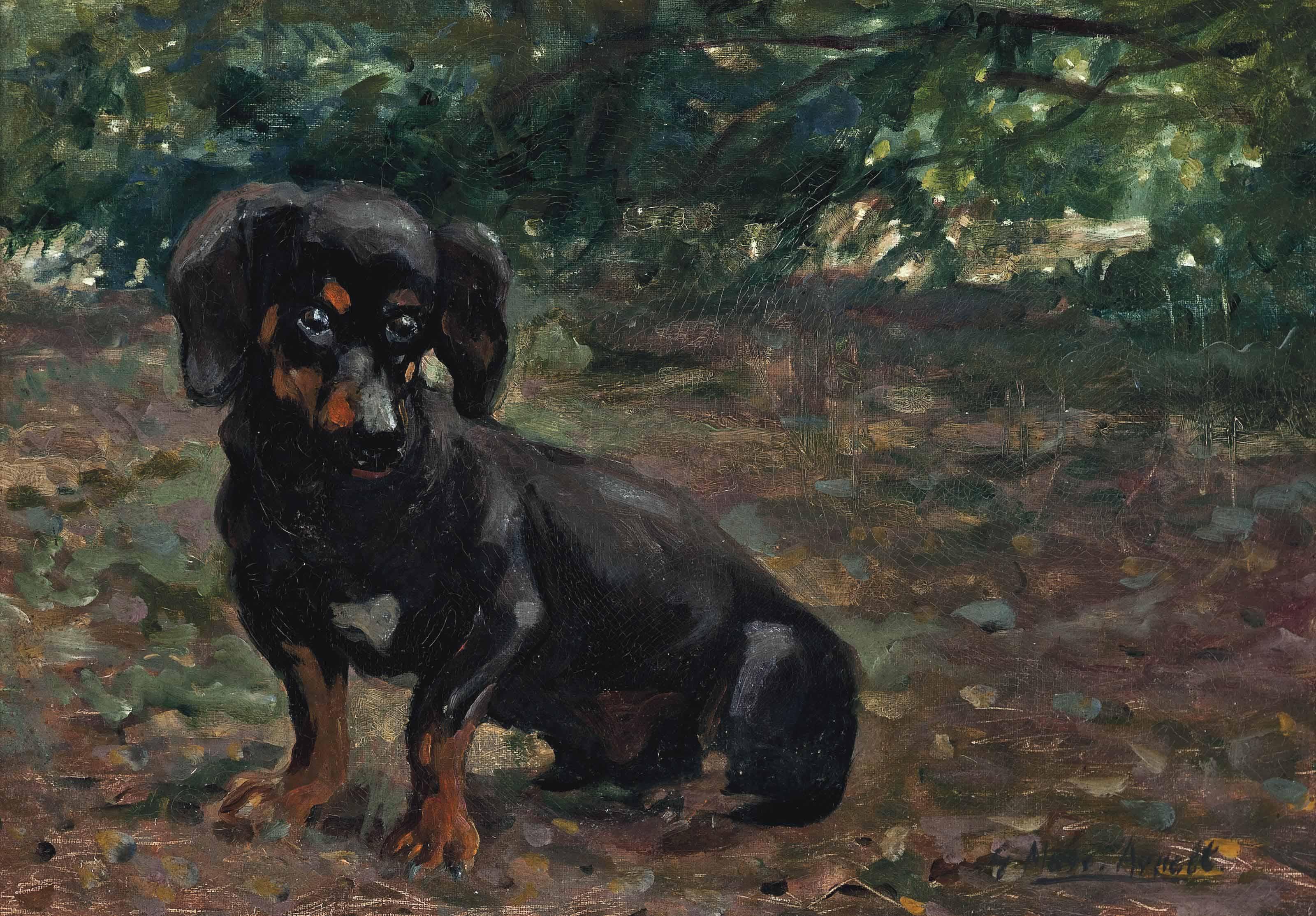 Gustav Muss-Arnolt - A Dachshund In A Sunlit Wood