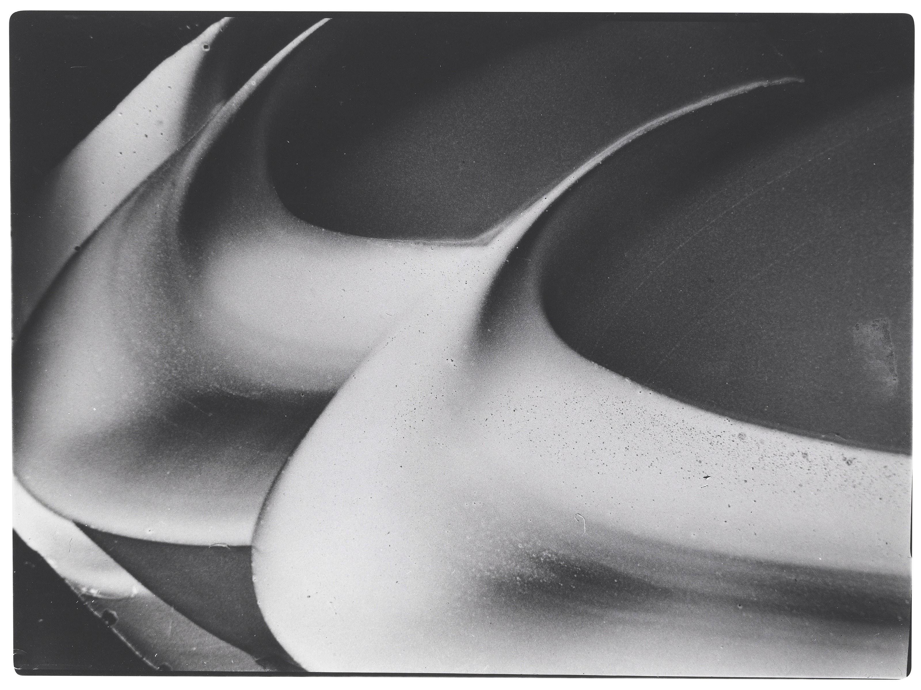 Gustav Schenk - Untitled from Schöpfung aus dem Wassertropfen, 1954