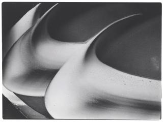 Gustav Schenk - Untitled from Schöpfung aus dem Wassertropfen, 1954