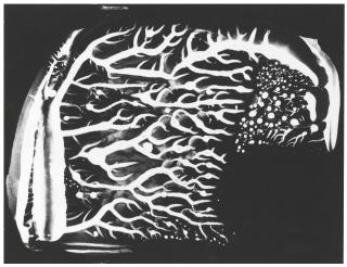 Gustav Schenk - Untitled from Schöpfung aus dem Wassertropfen, 1954