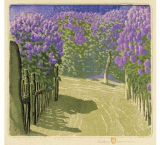 Gustave Baumann - A Lilac Year