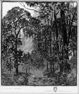 Gustave Baumann - Hillside Woods