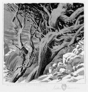 Gustave Baumann - Monterey Cypress