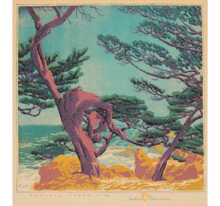 Gustave Baumann - Pacific Shore Line