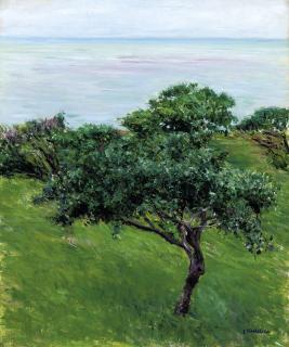 Gustave Caillebotte - Pommiers au bord de la mer, Trouville
