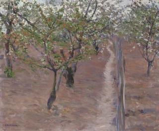 Gustave Caillebotte - Verger, Arbres En Fleurs, Petit Gennevilliers
