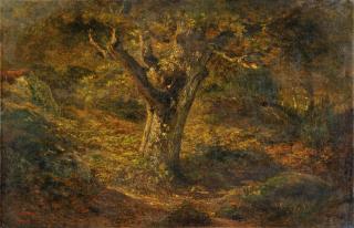 Gustave Courbet - The old Oak, Ornans