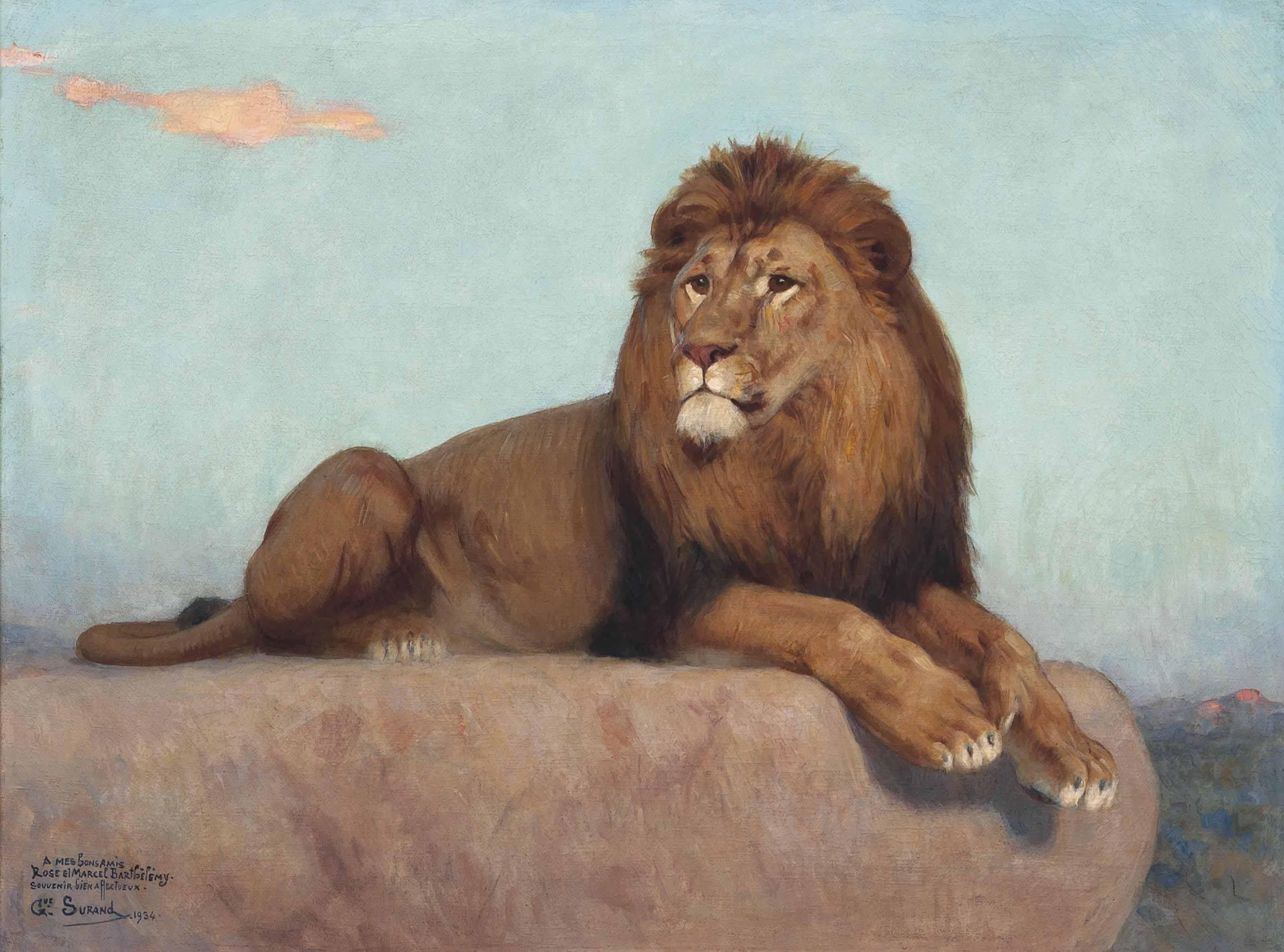 Gustave Surand - A lion
