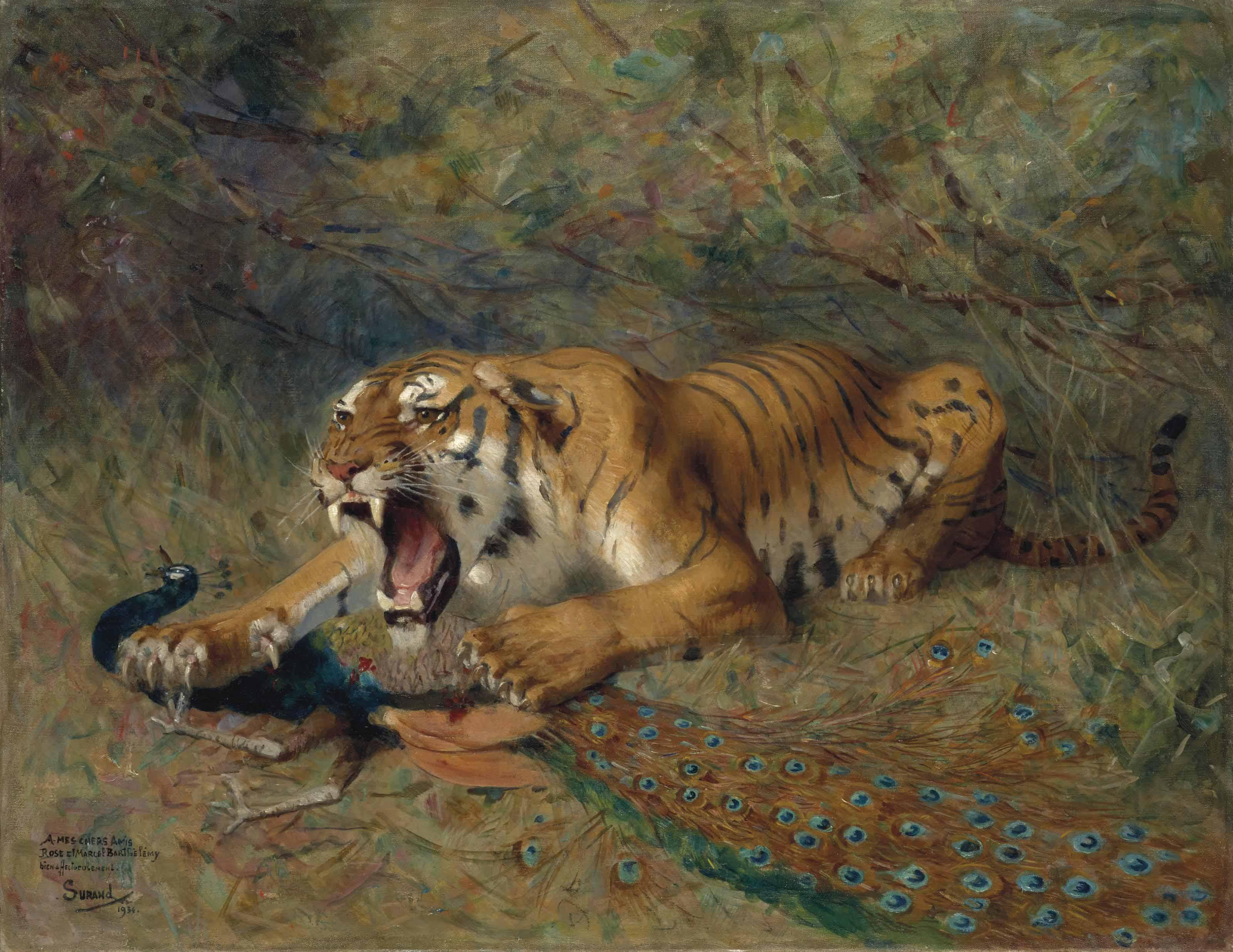 Gustave Surand - Le tigre et le paon