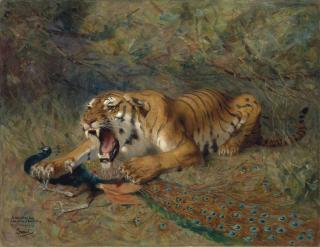 Gustave Surand - Le tigre et le paon