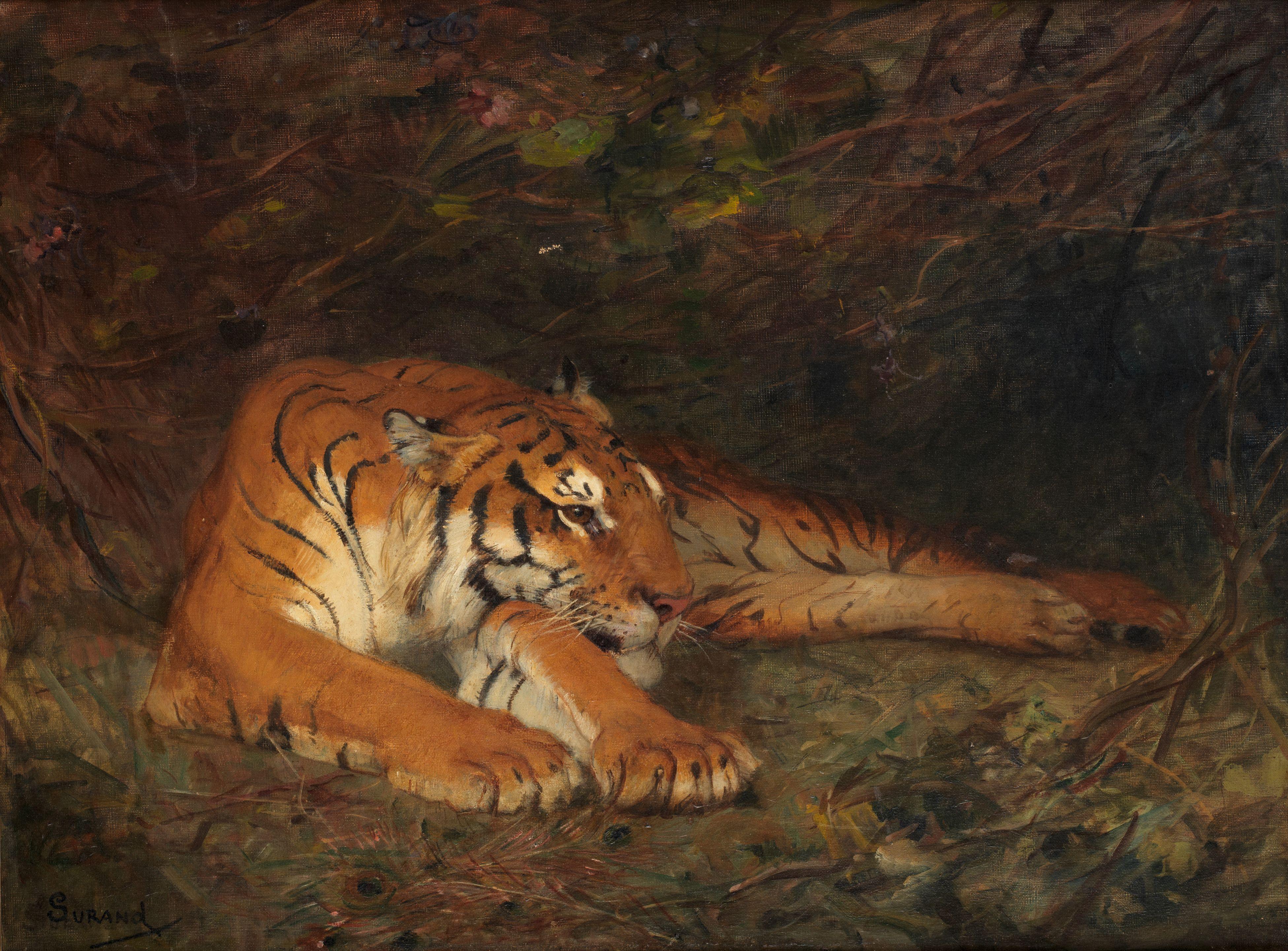 Gustave Surand - Recumbent tiger