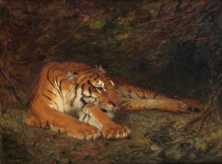 Gustave Surand - Recumbent tiger