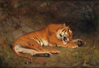 Gustave Surand - Tiger at rest