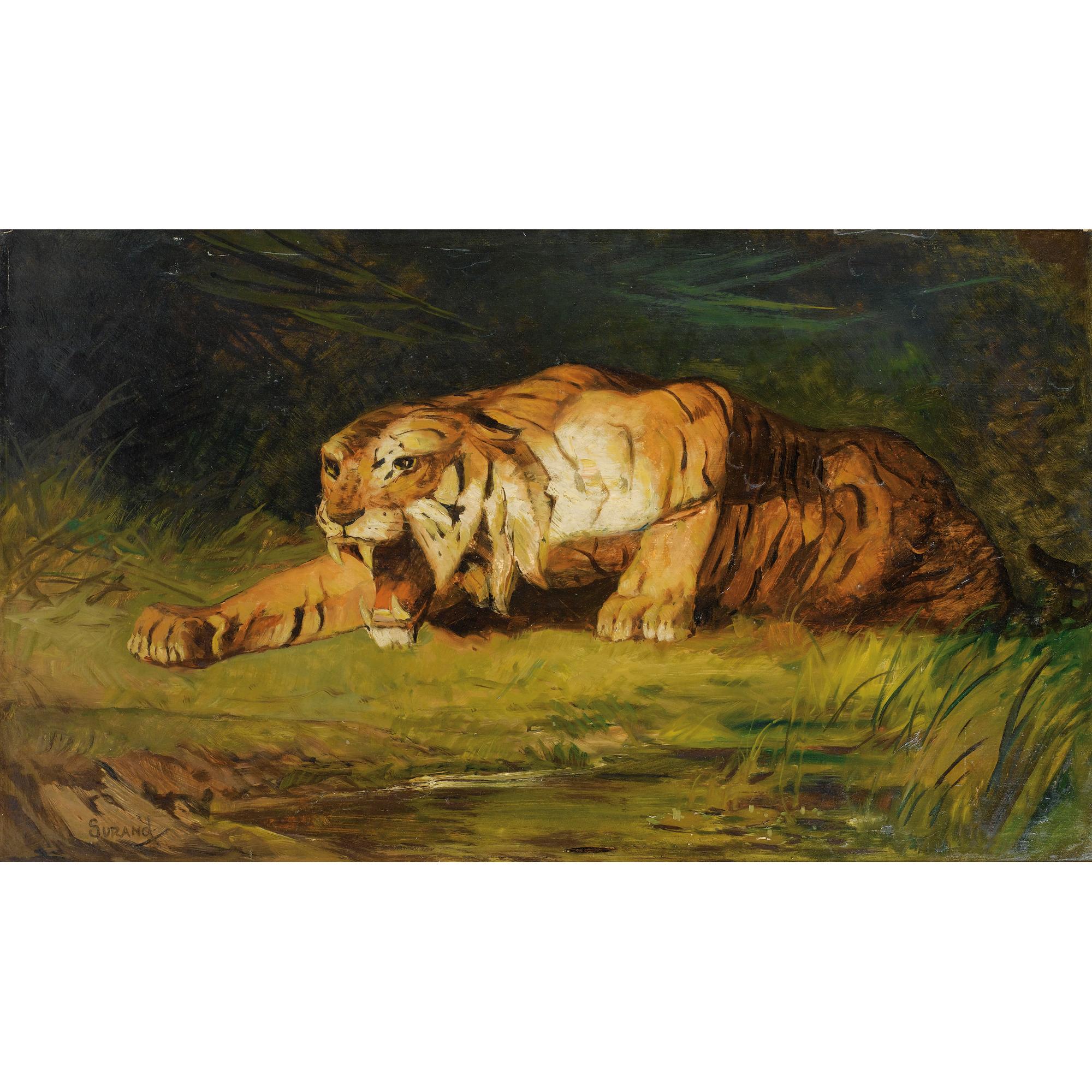 Gustave Surand - Tigre Prêt À Bondir