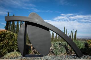 Guy Dill - Vidal (Notes from the Campus Gate Series), 1992