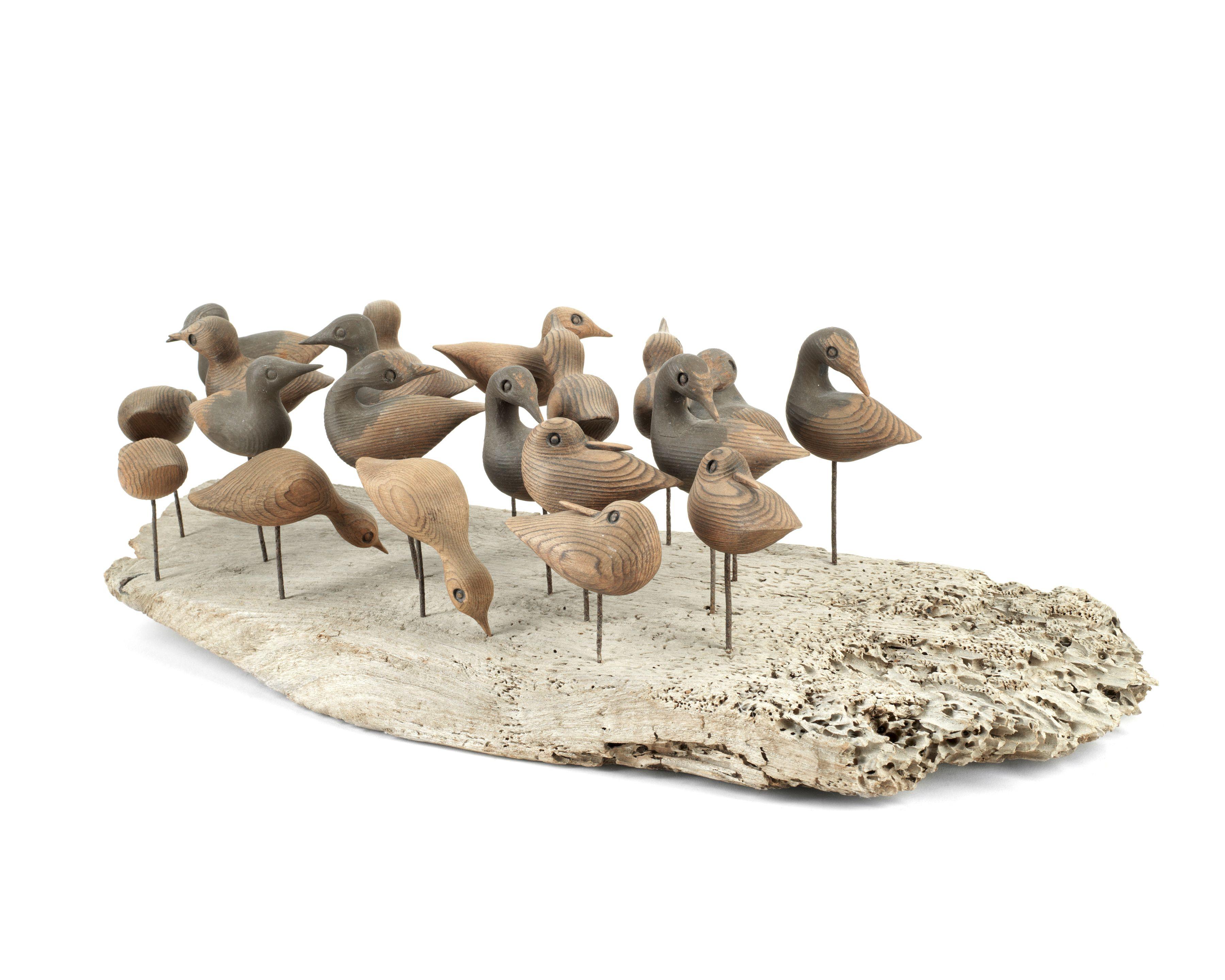 Guy Taplin - 20 Shorebirds