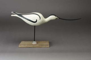 Guy Taplin - Avocet