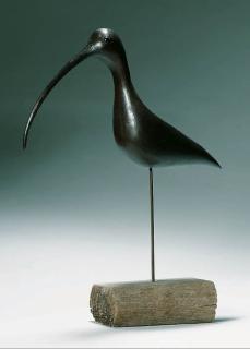 Guy Taplin - Curlew