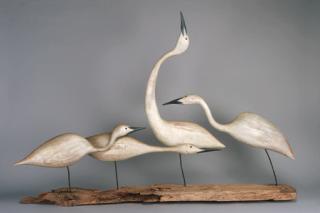 Guy Taplin - Four White Egrets
