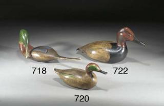 Guy Taplin - Red Headed Duck