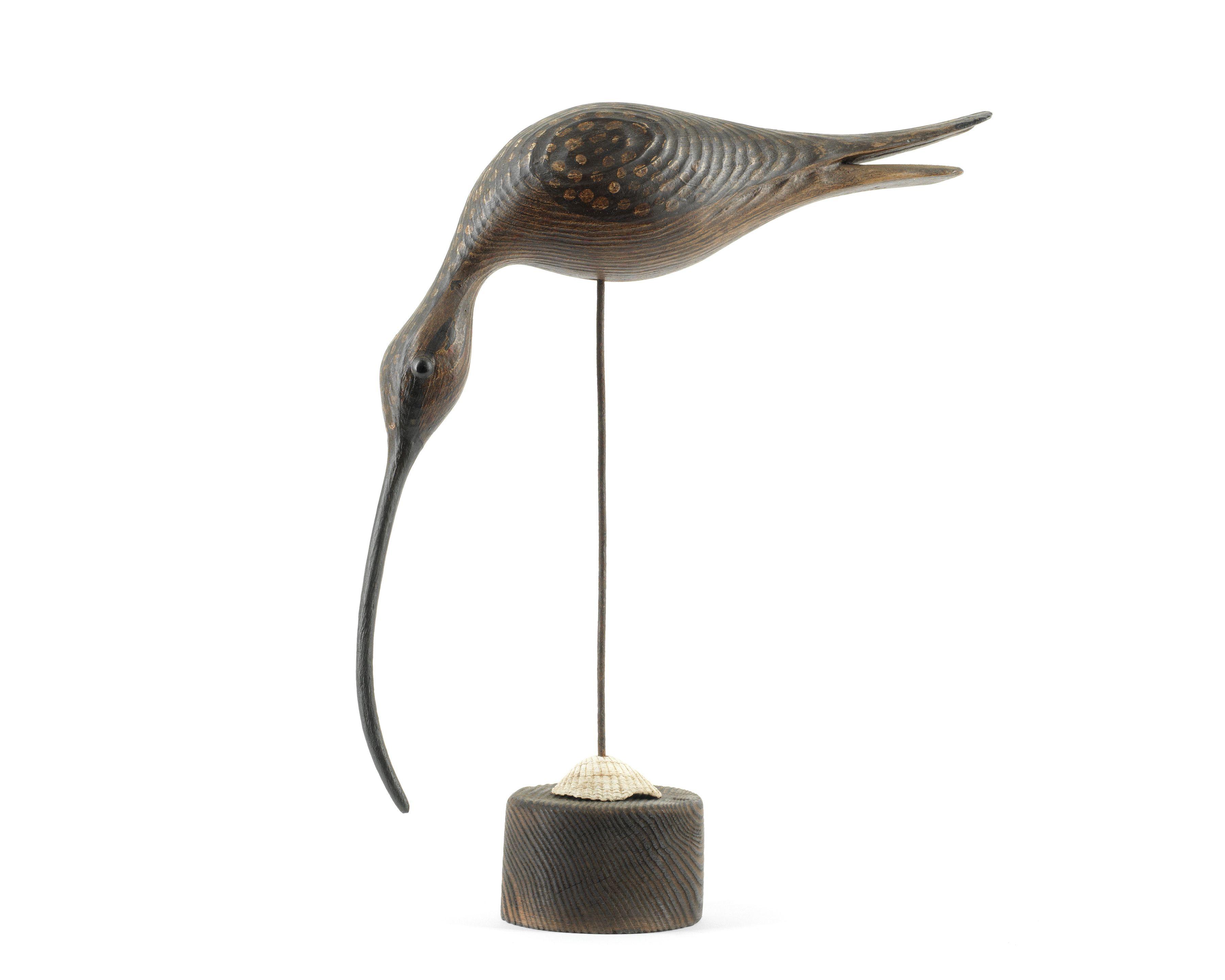 Guy Taplin - Shorebird