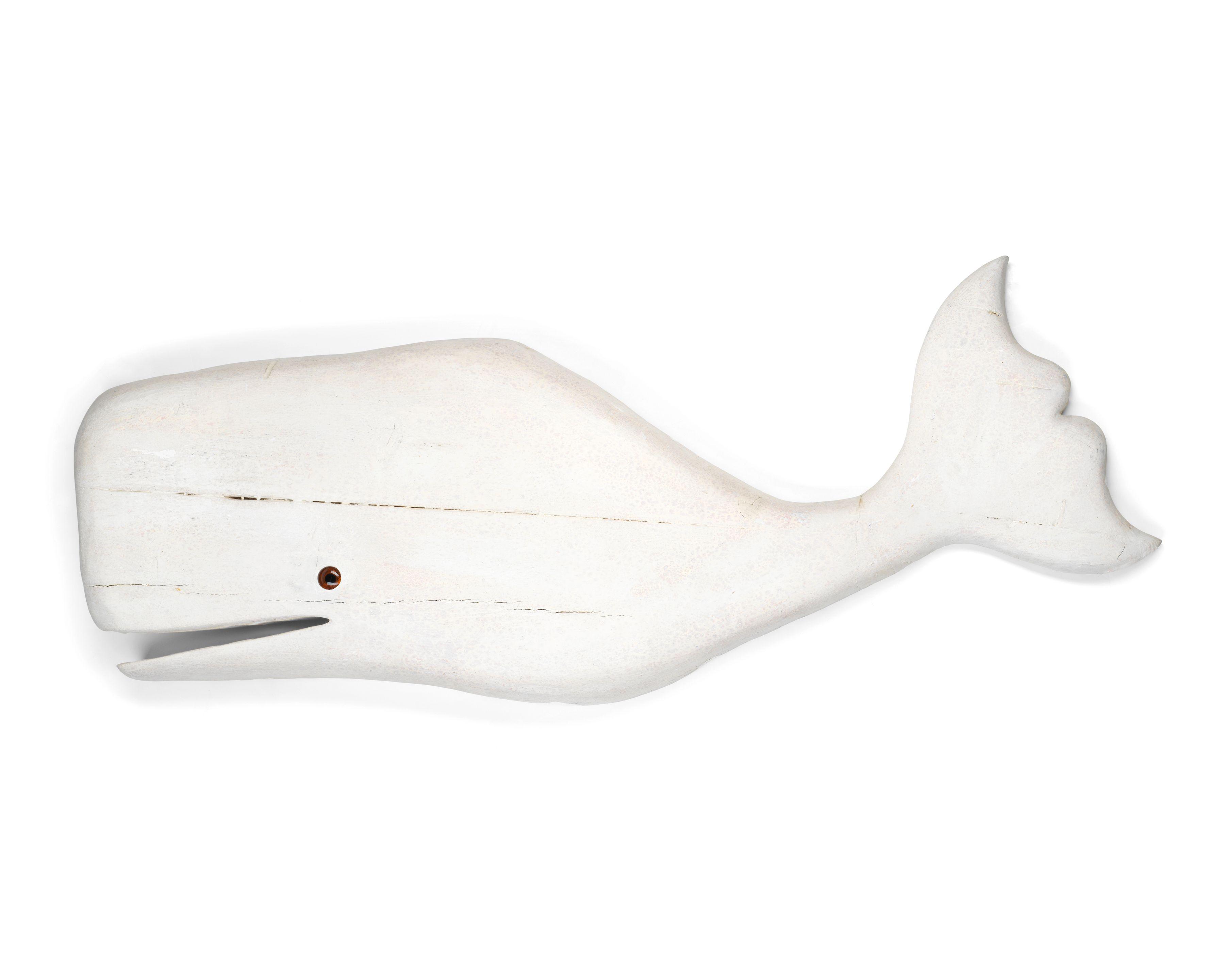 Guy Taplin - White Whale