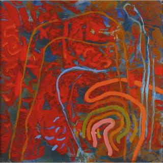 Guy Warren - Australian Kakadu