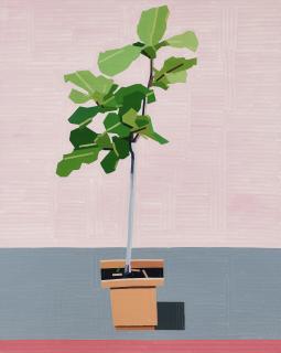 Guy Yanai - The Conformist (Tall Plant)