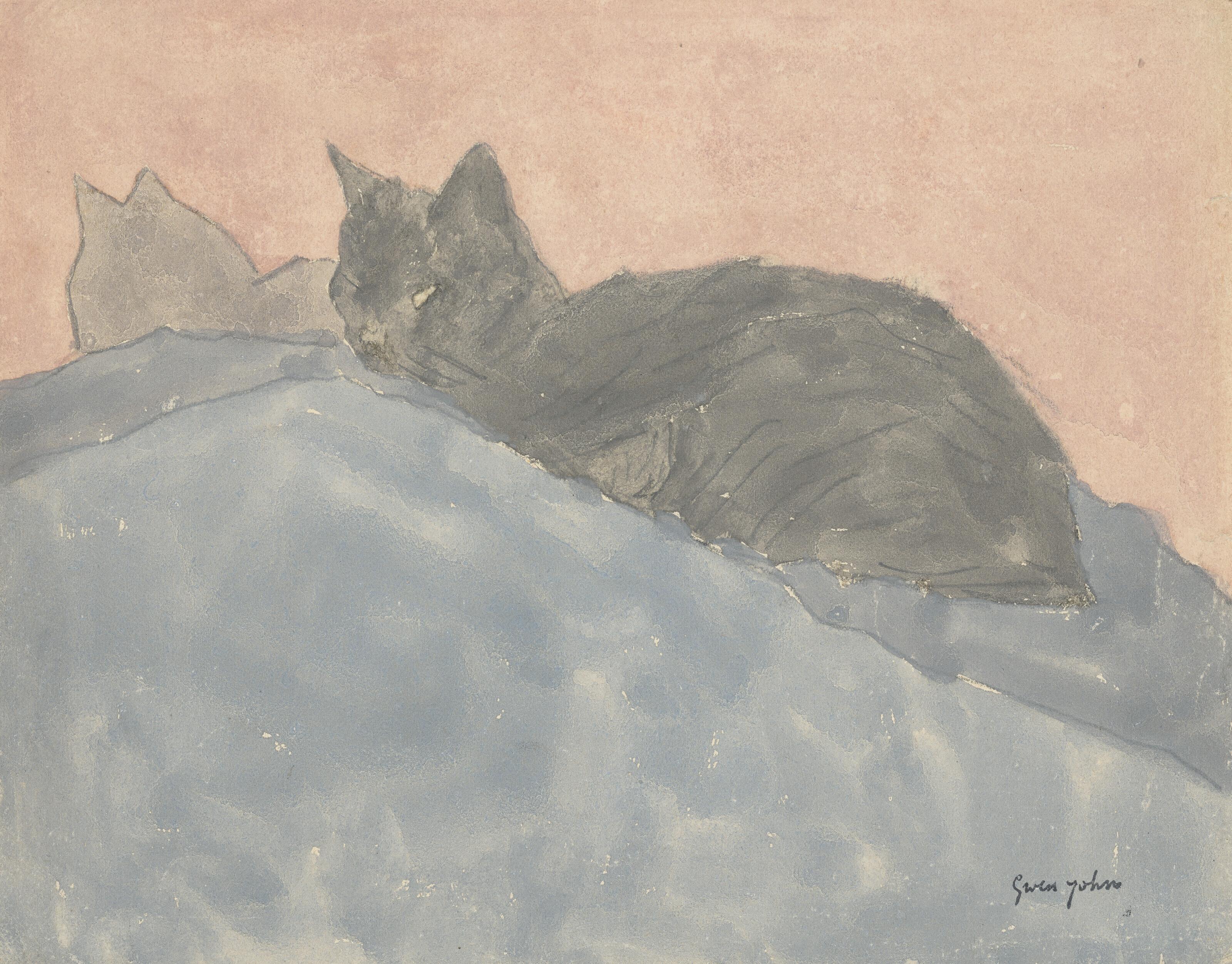 Gwen John - Black Cat on Blue and Pink