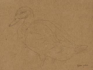 Gwen John - Study of a Duck