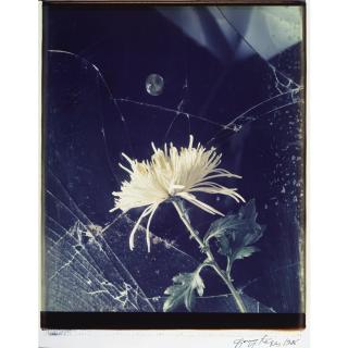 György Kepes - Selected Compositions