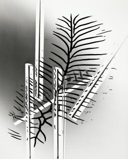 Gyorgy Kepes - Kepes 122