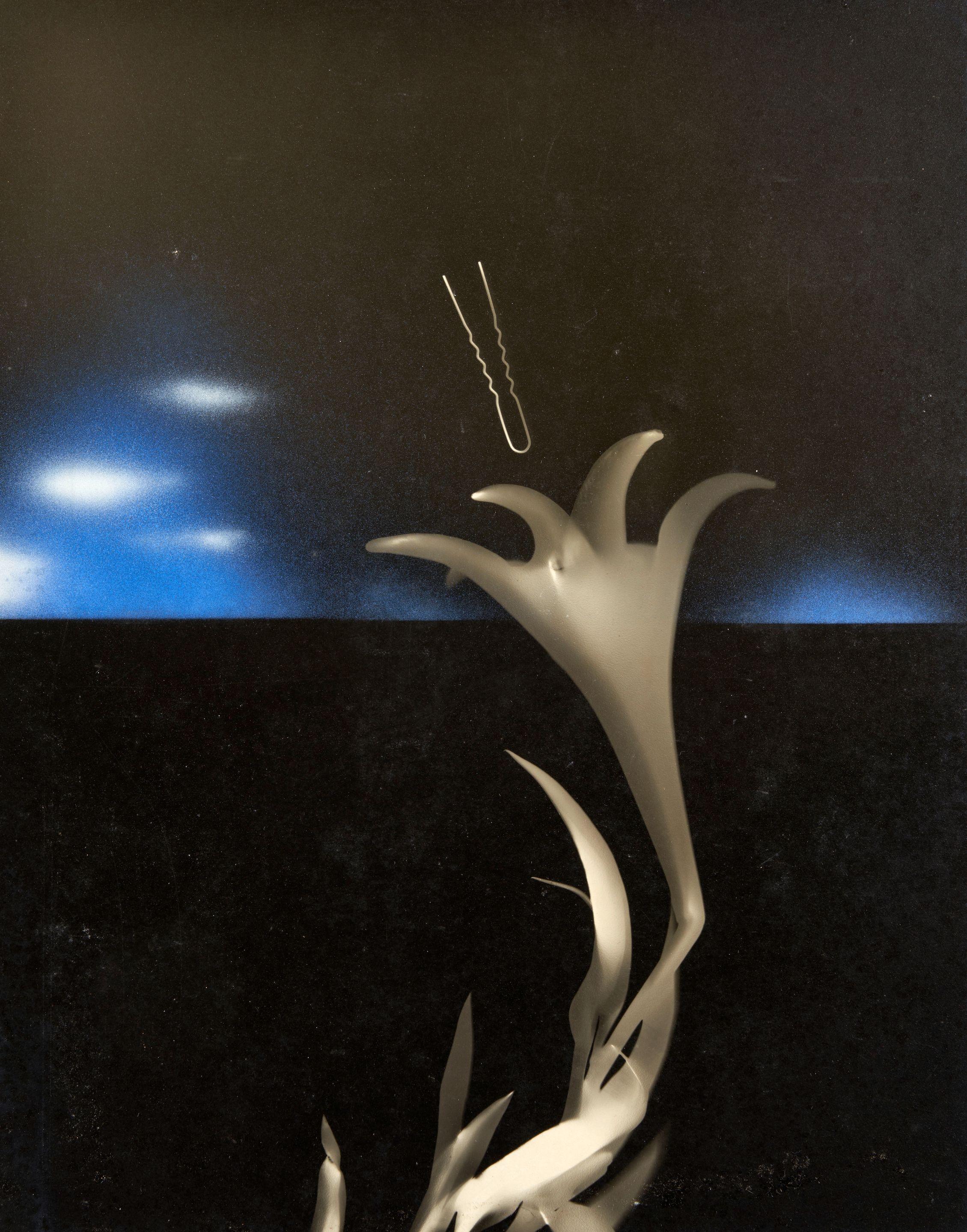 Gyorgy Kepes - Untitled (Lily and Hairpin)