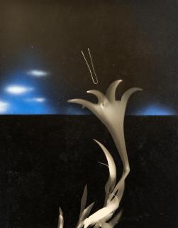 Gyorgy Kepes - Untitled (Lily and Hairpin)