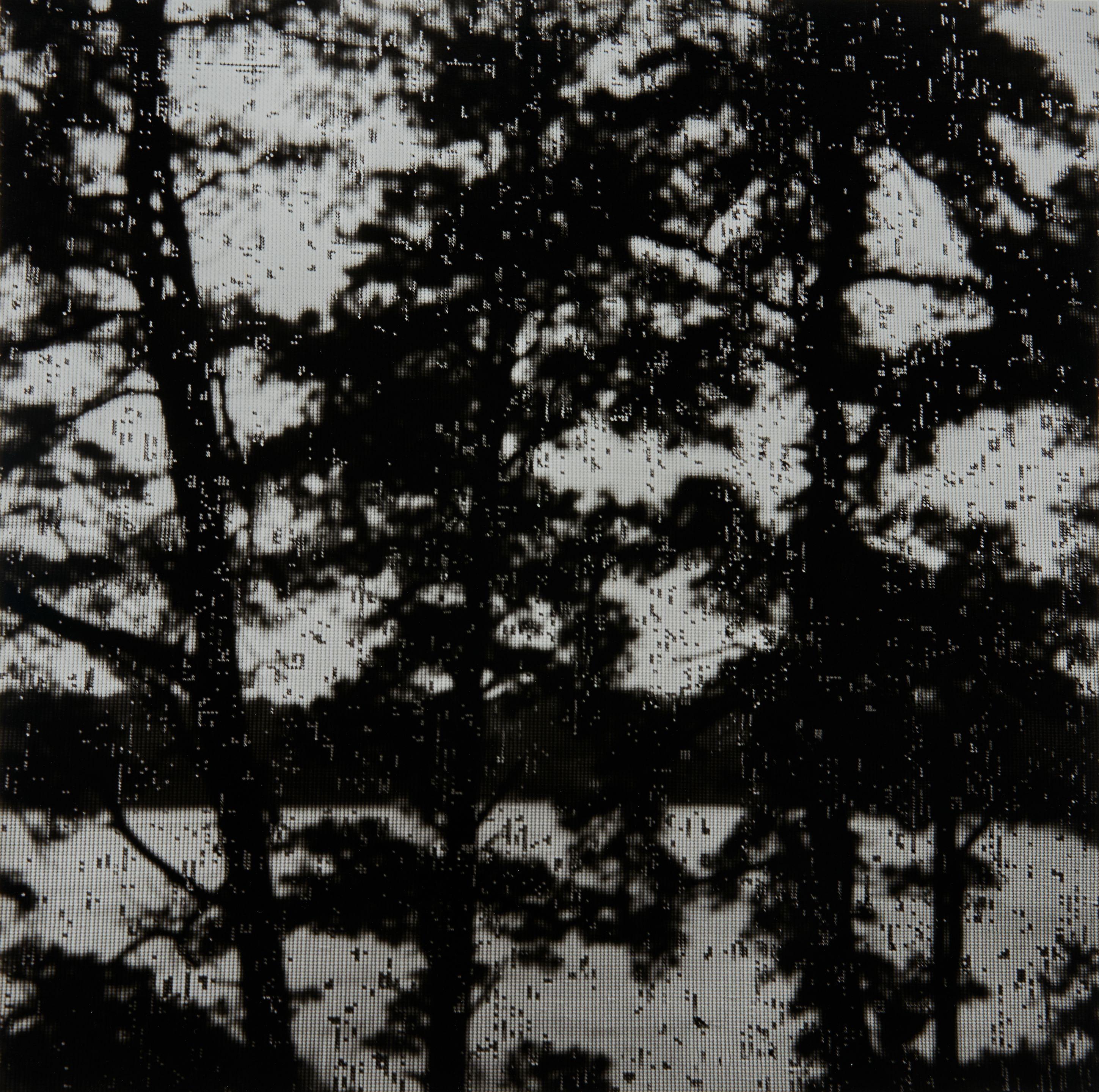 Gyorgy Kepes - Untitled, Wellfleet, Massachusetts