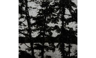 Gyorgy Kepes - Untitled, Wellfleet, Massachusetts